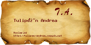 Tulipán Andrea névjegykártya