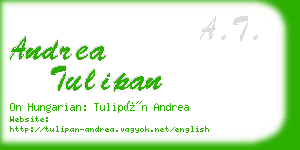 andrea tulipan business card